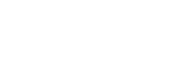 Boretti-logo-wit