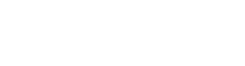 Selsiuz-logo-wit